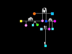 représentation graphique du génogramme